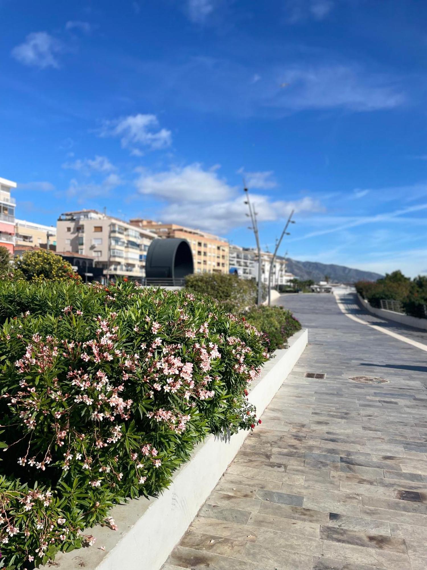 Casa Rosa Nova Apartment Marbella Bagian luar foto